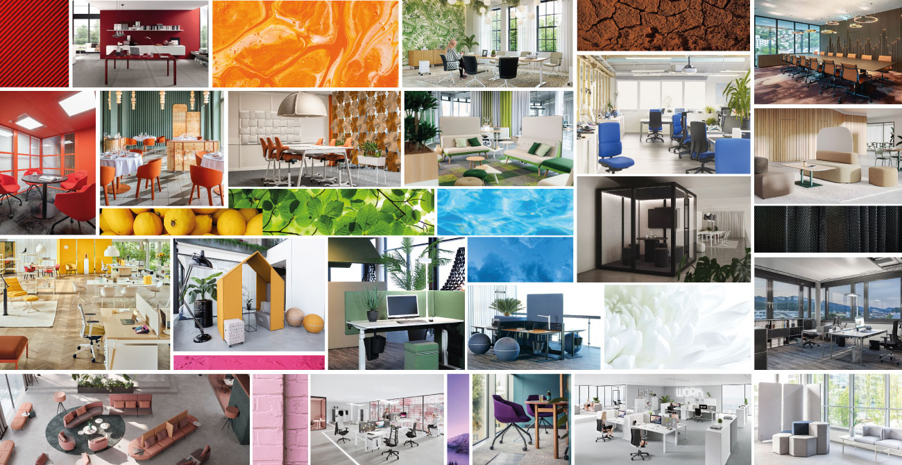 interior-designer-07