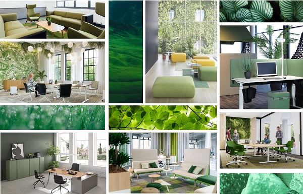 interior-designer-07